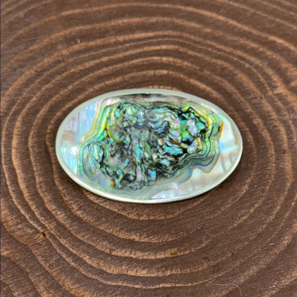 Iridescent Abalone Shell Brooch
